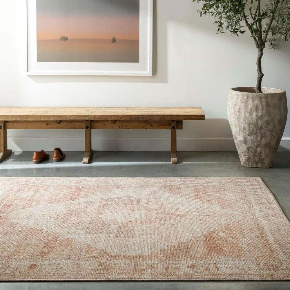Brand New Livabliss Becki Owens Luca Vintage Area Rug 3'11" × 5'7" – Dusty Pink
